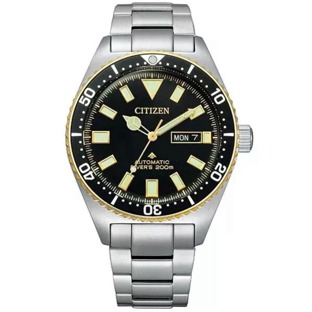 Citizen Silver and Gold Dive Watch